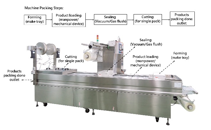 Thermoforming Machine for Food